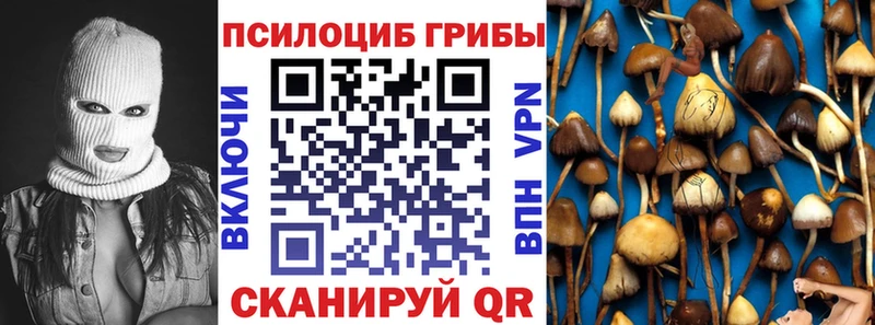 Галлюциногенные грибы Cubensis  сколько стоит  Таганрог 